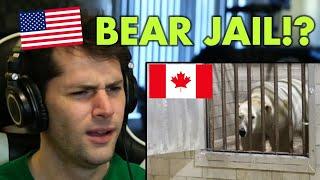 American Reacts to 50 UNIQUE Things About Canada (Part 1)