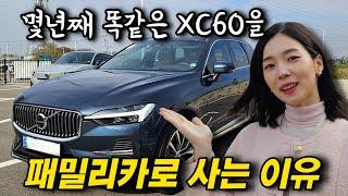 볼보 XC60이 수입차 판매량 1등..!? 2025 xc60은 뭐가 다를까?