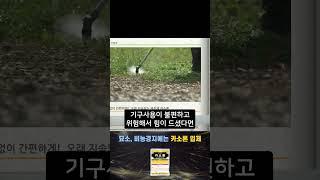 산소 잡초 방제하는 매우 쉬운 방법! #shorts #카소론