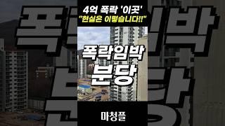 기가 막힌 성남 분당 아파트 집값 "후회하지 마세요!!" #shorts