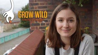 How to Sow in a Container with Hannah Grows