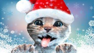 Fun Pet Care Kids Game - Little Kitten Adventures - Play Fun Xmas Costume Dress-Up Party Gameplay