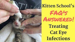 How I Treat a Kitten or Cat Eye Infection at Home