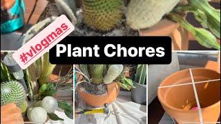 Relaxing Plant Chores #vlogmas2023