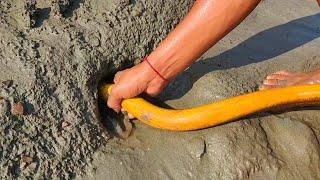 Hand Fishing | Boy Catching huge Eel Fish From Hole