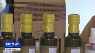 La Tunisie demeure l'un des principaux exportateurs mondiaux d'huile d'olive