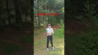 주니어랑 파3에서 내기 치기  #golf #내기