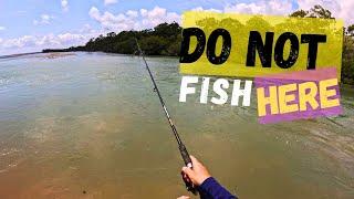 Catch & Cook + Bait Spot + Locals || Townsville Fishing