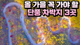 올 가을 꼭 가봐야할 단풍 여행 노지 차박지 3곳 추천 ! 이번주나 다음주 꼭 다녀오세요 레이 솔캠 차박 가을 캠핑 차박지 단풍캠핑 잠 못드는 밤 꿀잠자는 굿데이 추천