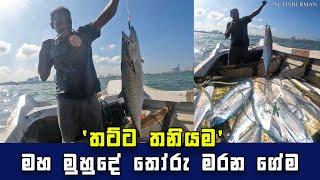 Incredible Seer Fish Haul: A Fisherman's Skill on Display, Sri Lanka I Hook Fishing In Sea,Sri Lanka