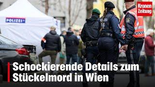 Schockierende Details zum Stückelmord in Wien | krone.tv NEWS