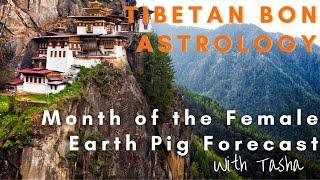 Tibetan Bon Astrology - Month of the Female Earth Pig Forecast 