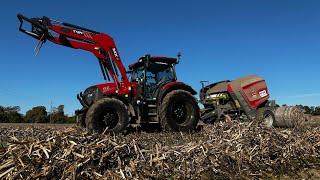 CUTTING AND BAILING THE BEANS PLUS SOWING THE WHEAT