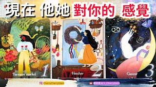  現在, 他她 對你的想法｜他她怎麼看你｜對你的感覺️ 有字幕 🟣無時間限制占卜 🟡  #塔羅 #占卜 #字卡 #tarot #oracle #愛情 #愛 #感情 #love