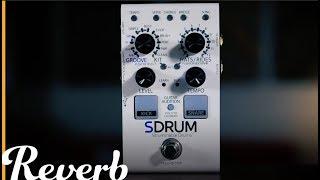 DigiTech SDRUM Auto-Drummer Pedal | Reverb Demo