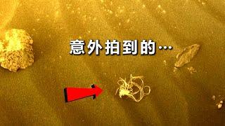 来自火星的真实图像：我们发现了一个类似蜘蛛的物体？