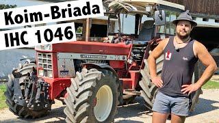 Koim Briada IHC 1046 Turbo von Christian Teply | Traktor Vorstellung | IHC Power | IHC 1046 Sound