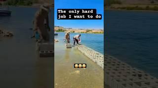 I can't stop laughing  Workers at work