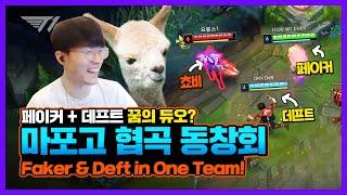 마포고 협곡 동창회로 초대합니다 T1 대환장파티 17화 [T1 Stream Highlight]