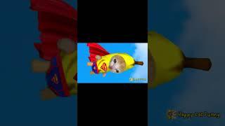 SUPER BANANA CAT Saves Friends from SKIBIDI TOILET | Happy Cat Funny Cartoon 41 #bananacat #happycat