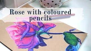 REALISTIC drawing on TONED paper with COLORED PENCILS || Pink rose