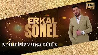 Erkal Sonel - Ne Haliniz Varsa Gülün [ İNCİ TANELERİ ]