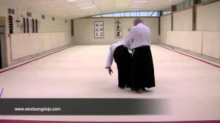 Aikido: Fundamentals of Evasion