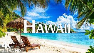 Hawaii 4K - Peaceful Relaxing Film With Beautiful Piano Music - 4K Video Nature