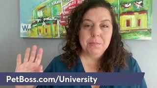 Q+A about Pet Boss Nation University - New Pet Biz Education Program