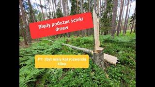 Błędy podczas ścinki drzew - zbyt mały kąt rozwarcia klina