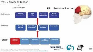 Neuropsychological assessment of planning and decision making by Vienna Test System in Farsi