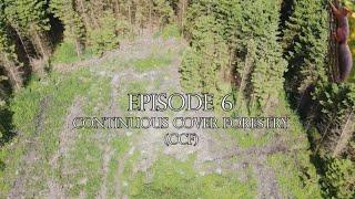 Episode 6 – Continuous Cover Forestry (CCF)