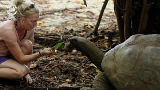 Seychelles: Film Croisière Sea Pearl Silhouettes Cruises