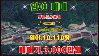 물번,724번)준보전산지 포함 된 임야,10.110평 평당,2.900원에 몽땅,3.000만원에 매매합니다, 도로와  본 임야 사이에 폭3m 정도에 구거가 있습니다, 농림,임업용산지