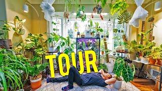 A Tour of My Plants : My Entire Collection