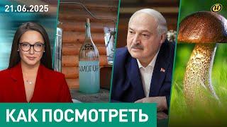 ЛУКАШЕНКО И КЕЛЛОГ ПРОВЕЛИ ПЕРЕГОВОРЫ / Помилование 14 осужденных / Лесной самогон / Охота на грибы