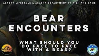 BEAR ENCOUNTERS and What To Do! Tips From Alaska Fish and Game Expert