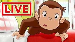 Jorge el Curioso en Español LIVE   Viento Lleva Jorge | En Vivo | Caricaturas para Niños