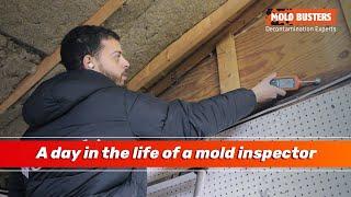 A day in the life of a Mold Inspector - Mold Busters