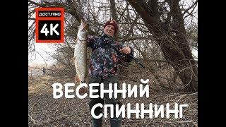 ЩУКА КЛЮЁТ НА КАЖДОМ ЗАБРОСЕ !!!ОТКУДА ТАМ СТОЛЬКО ЩУКИ ?????  ВЕСЕННИЙ СПИННИНГ 2019!!