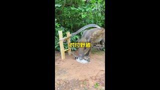 遏制打擊野豬的囂張氣焰#野生動物零距離 #解說版動物世界 #內容啟發搜索