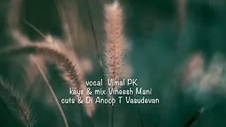 Vellinila thullikalo cover by VIMAL P K