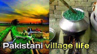 pakistani log, pakistanilog, village life, YouTubevideo, shorts video, upload video