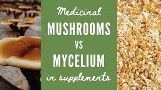 Mushroom vs Mycelium in Supplements