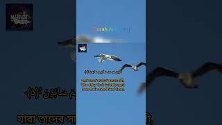 Surah: Al-Maun Fascinating Quran Recitation   MashaAllah সুরা আল-মাউন