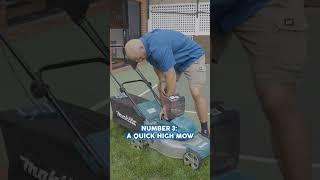 How to improve your lawn in 4 easy steps