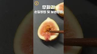 무화과 올바른 손질방법 및 보관방법