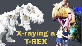 How to X-ray a life size LEGO T-REX dinosaur…! Jurassic World Dominion #shorts