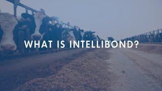 What is IntelliBond?