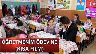 MÜKEMMEL KISA FİLM / ÖĞRETMENİM ÖDEV NE (GERÇEK HAYAT)